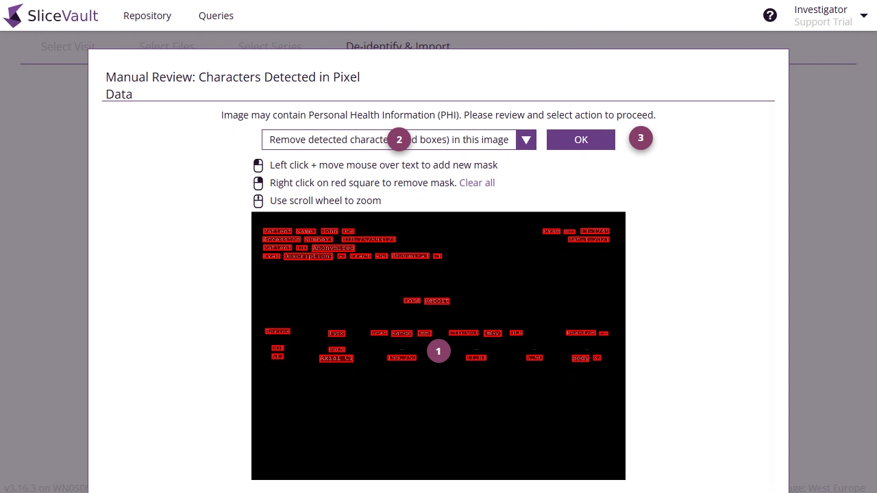 Screenshot: Masking Detected PHI