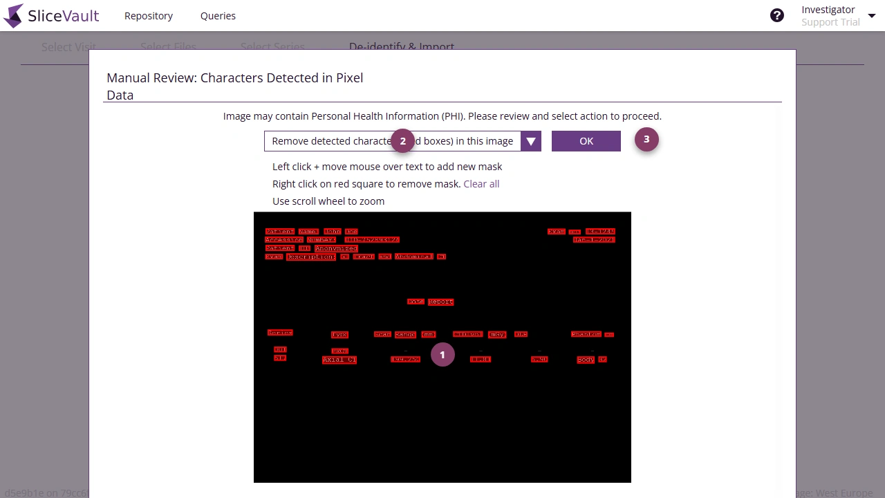 Screenshot: Masking Detected PHI