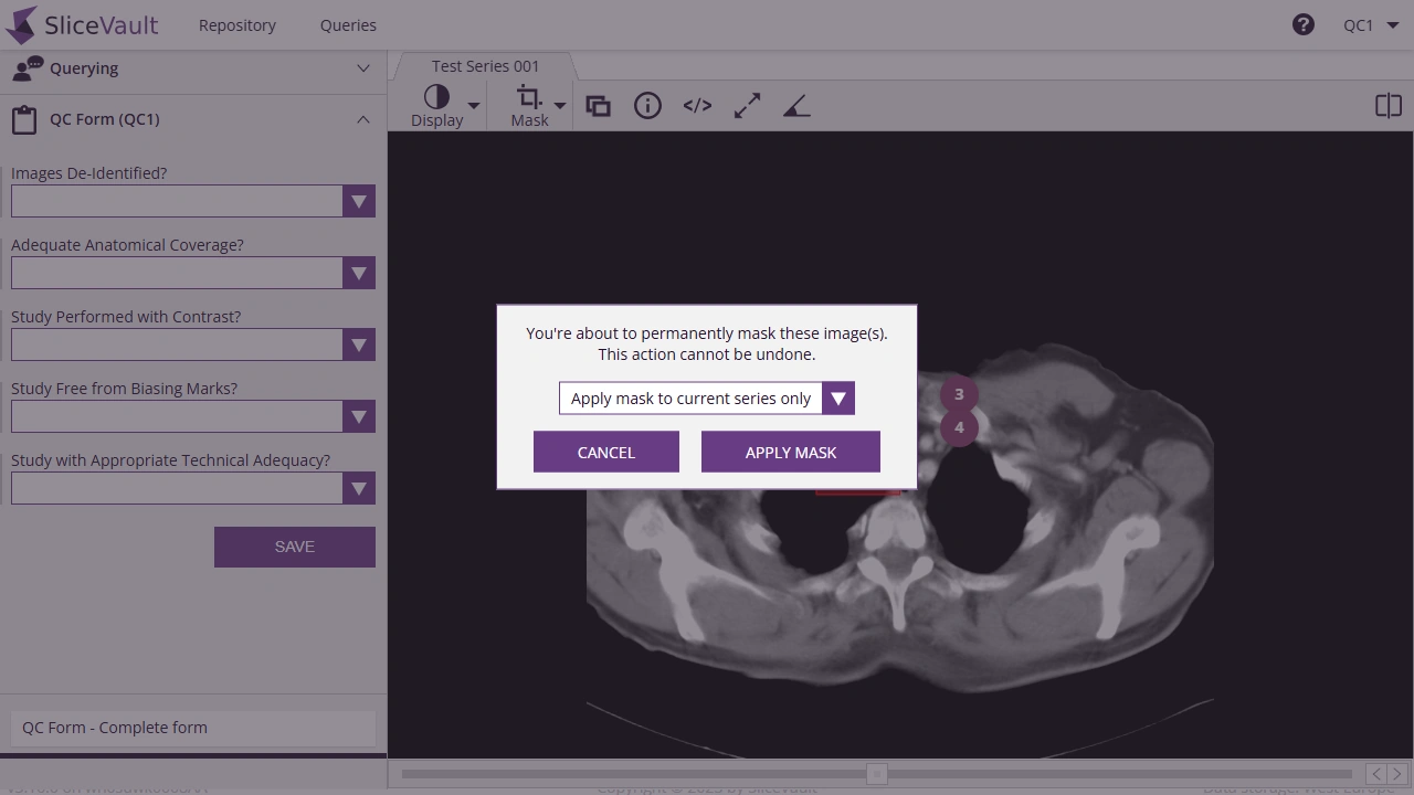 Screenshot - Apply mask