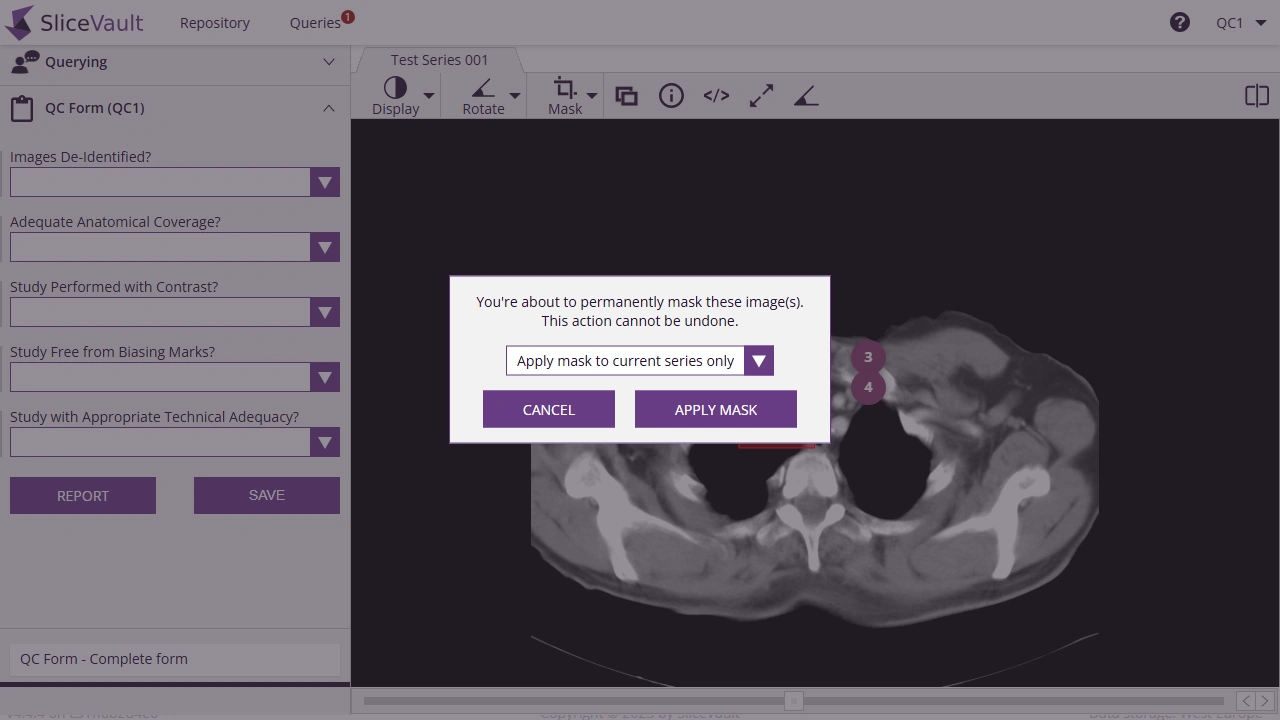 Screenshot - Apply mask