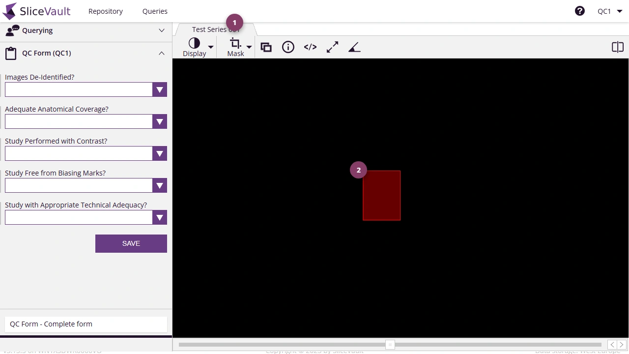 Screenshot - Masking data