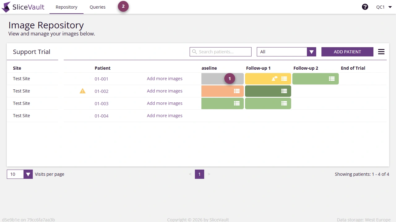 Screenshot - Query Icons on Repository Page
