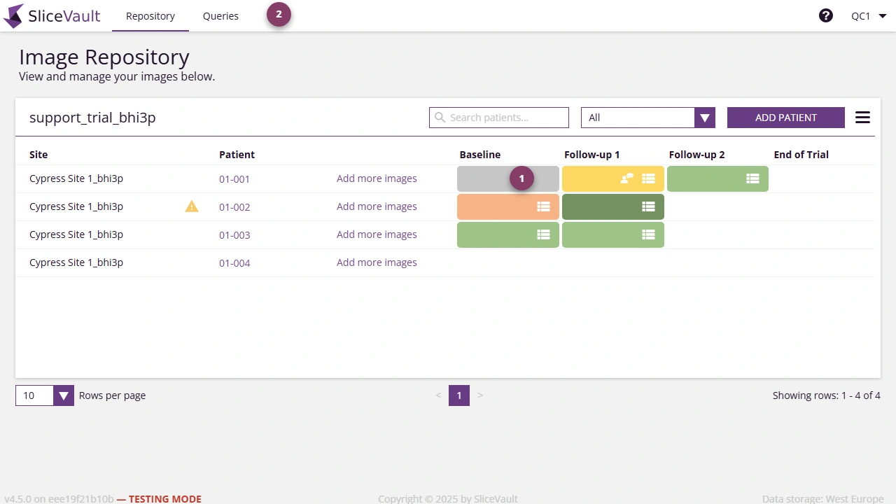 Screenshot - Query Icons on Repository Page
