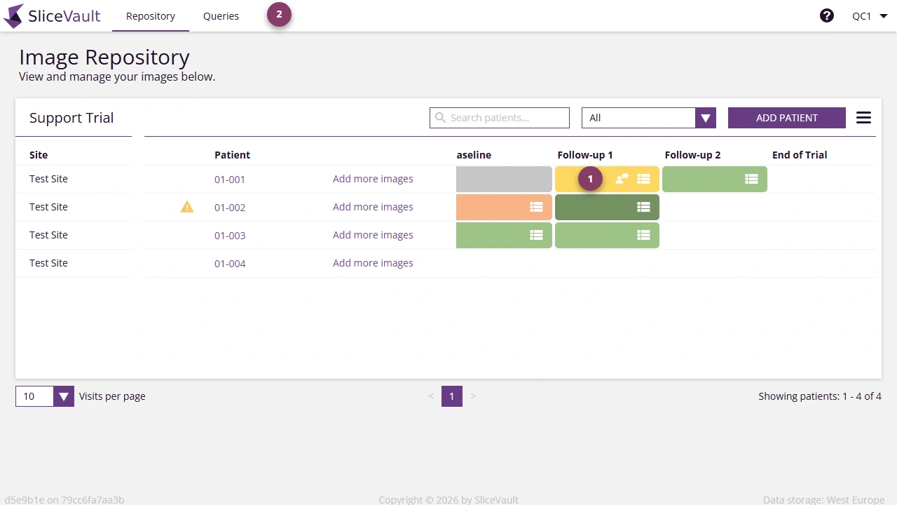 Screenshot - Query Icons on Repository Page