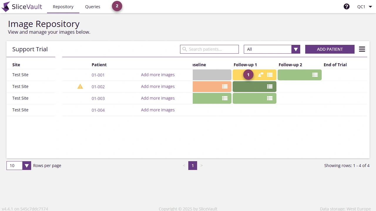 Screenshot - Query Icons on Repository Page