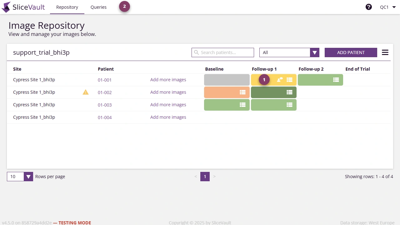 Screenshot - Query Icons on Repository Page
