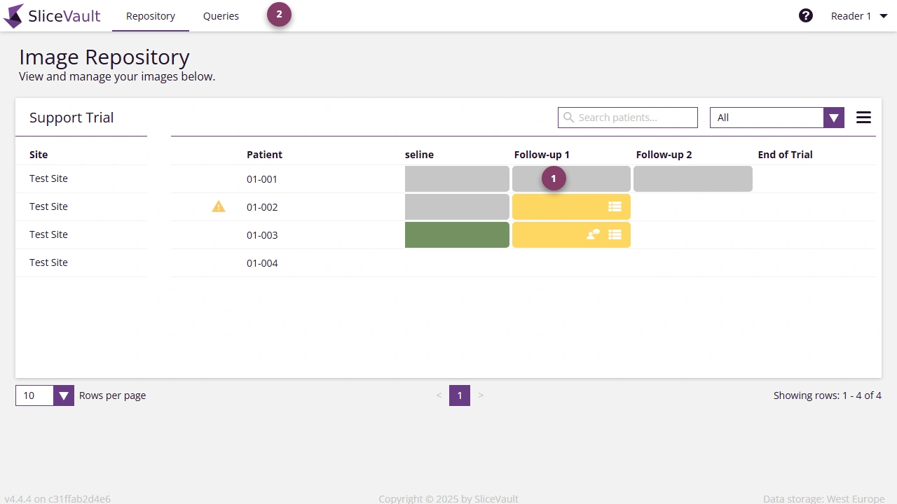 Screenshot - Query Icons on Repository Page