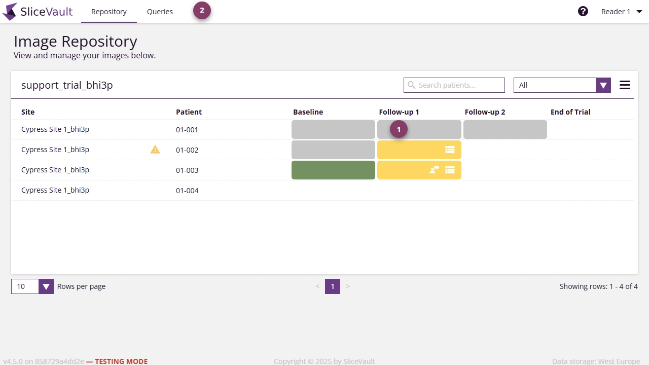 Screenshot - Query Icons on Repository Page
