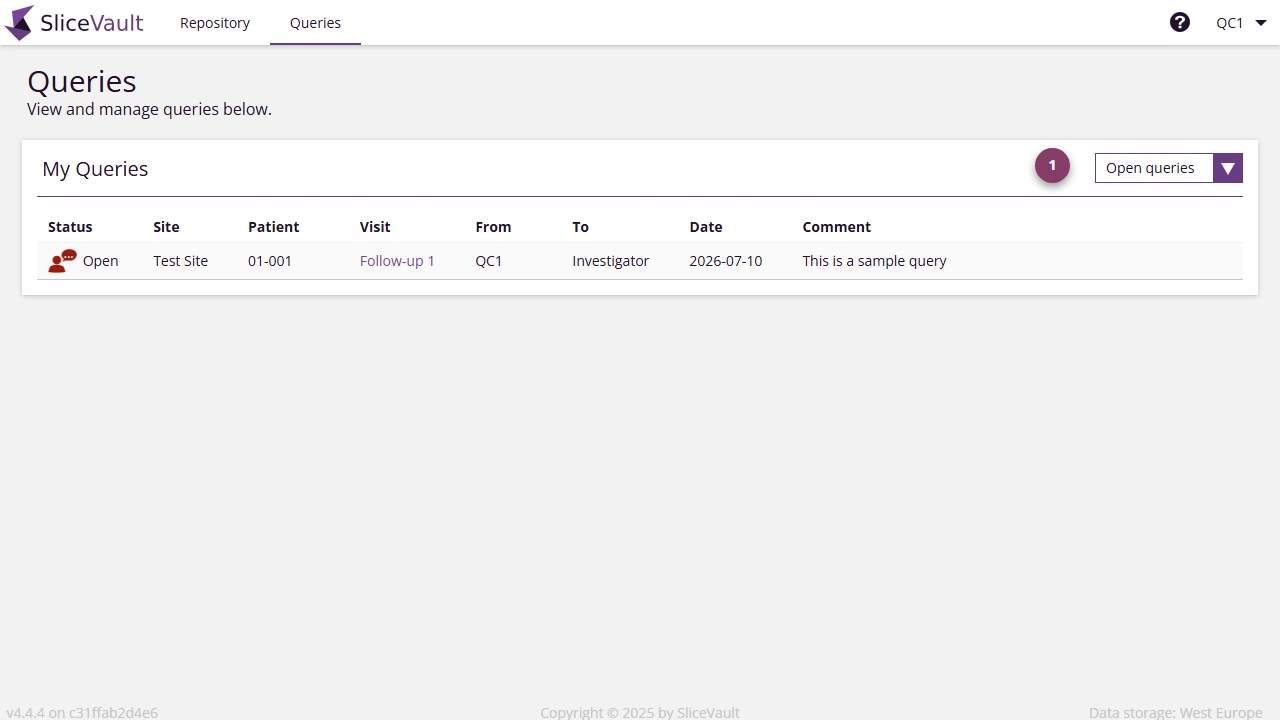Screenshot - Query List