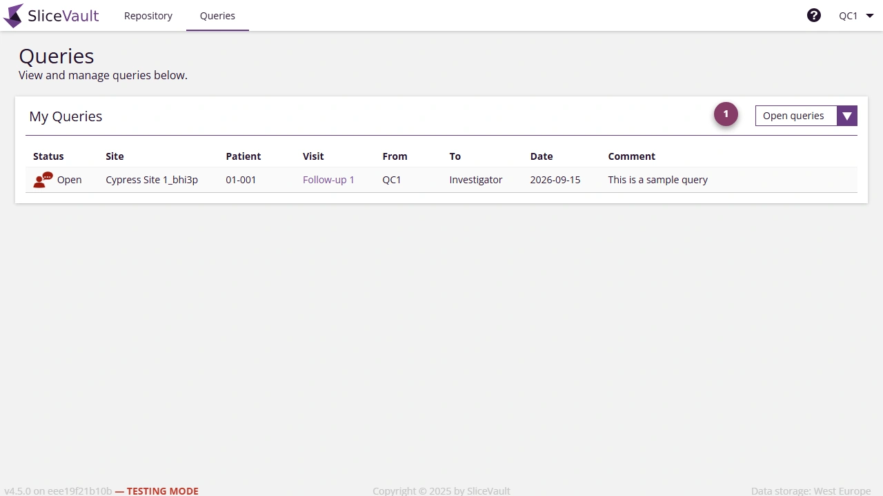 Screenshot - Query List