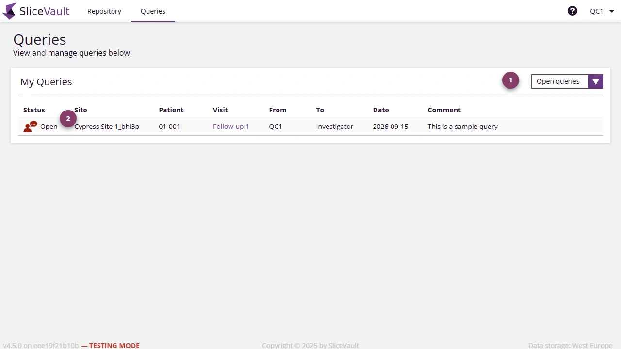 Screenshot - Query List
