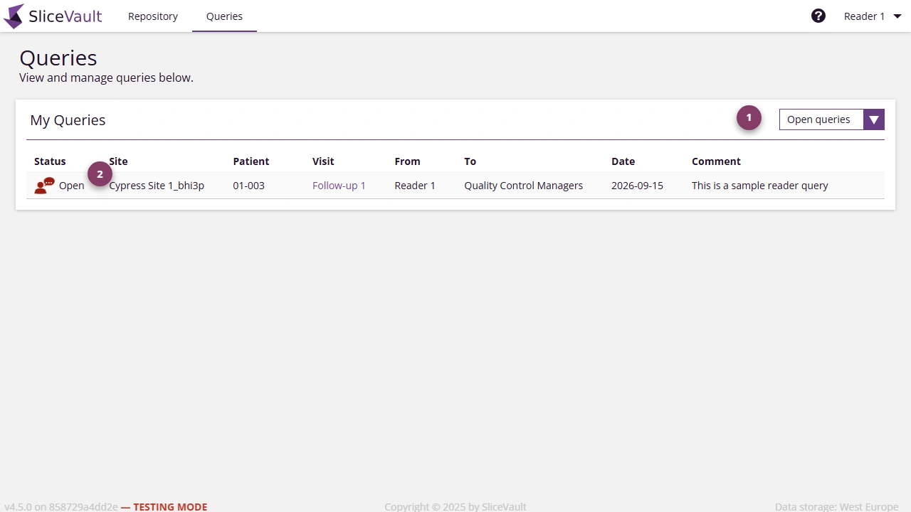 Screenshot - Query List