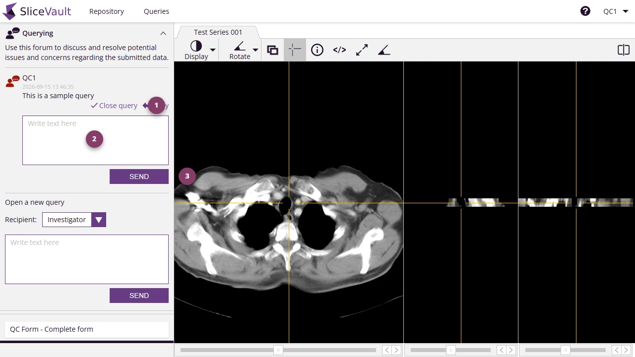 Screenshot - Post Reply to Query