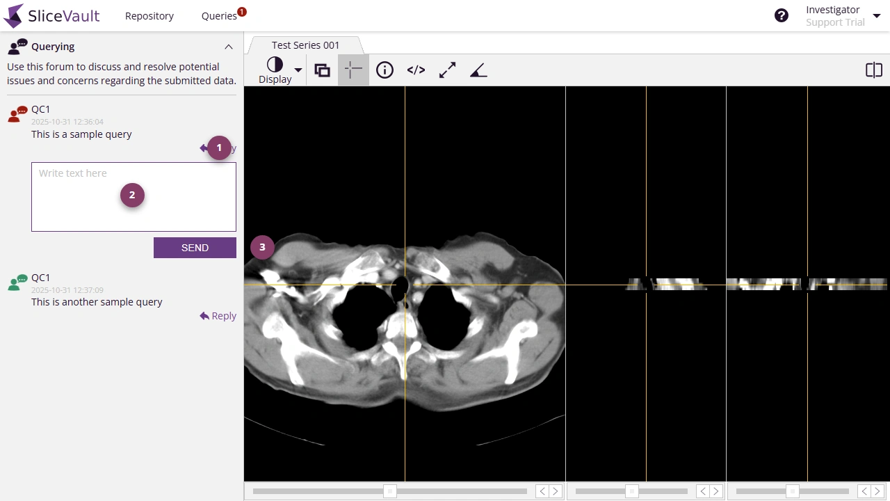 Screenshot - Post Reply to Query