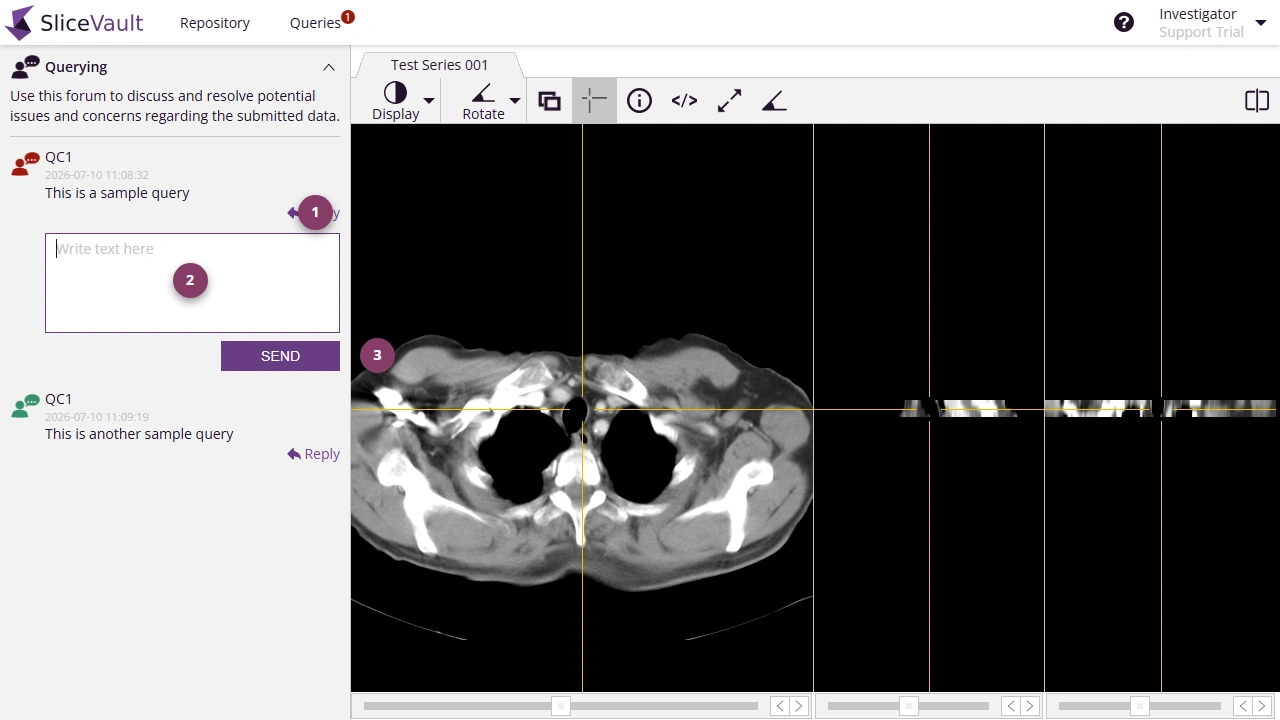Screenshot - Post Reply to Query