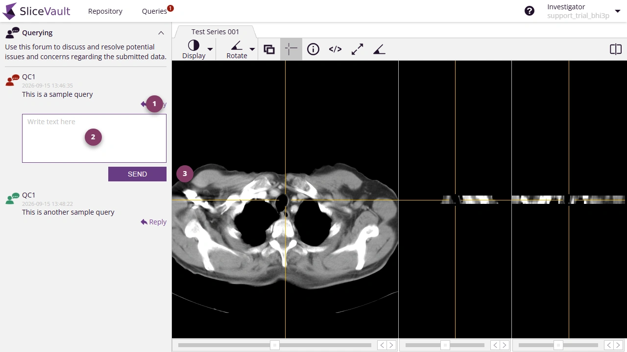 Screenshot - Post Reply to Query