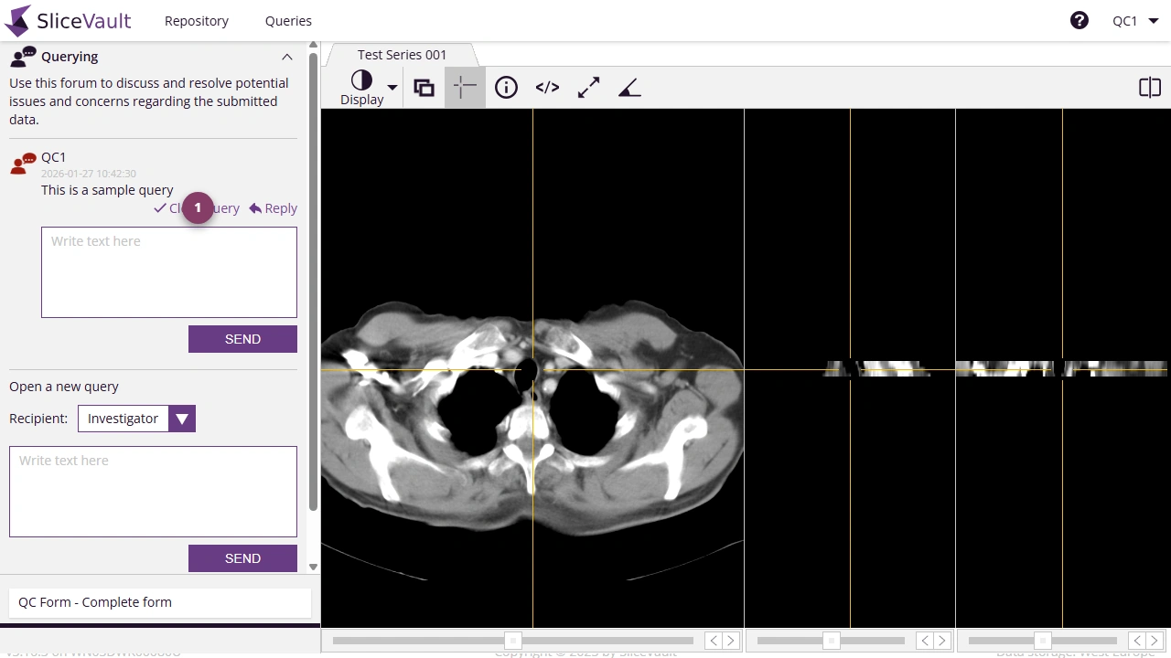 Screenshot - Closing a Query
