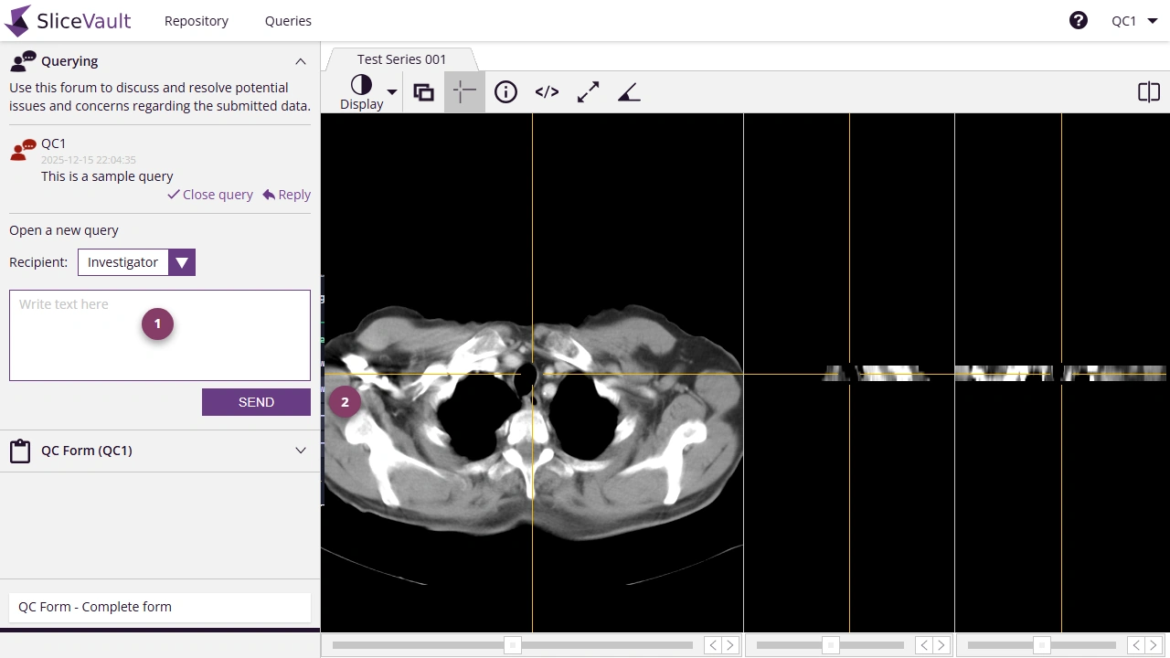 Screenshot - Open New Query