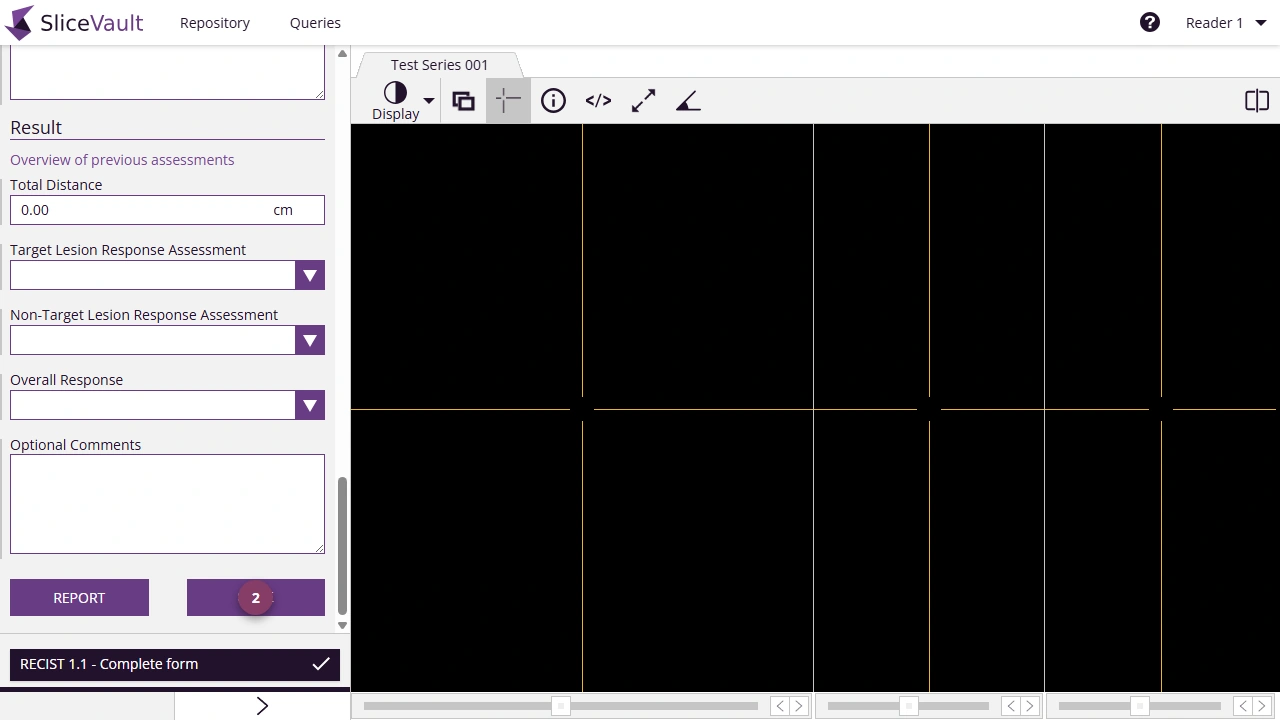 Screenshot - Edit Assessment Form