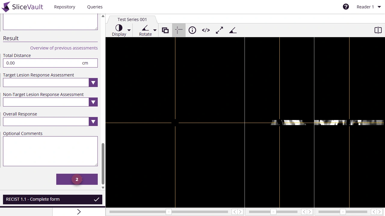 Screenshot - Edit Assessment Form