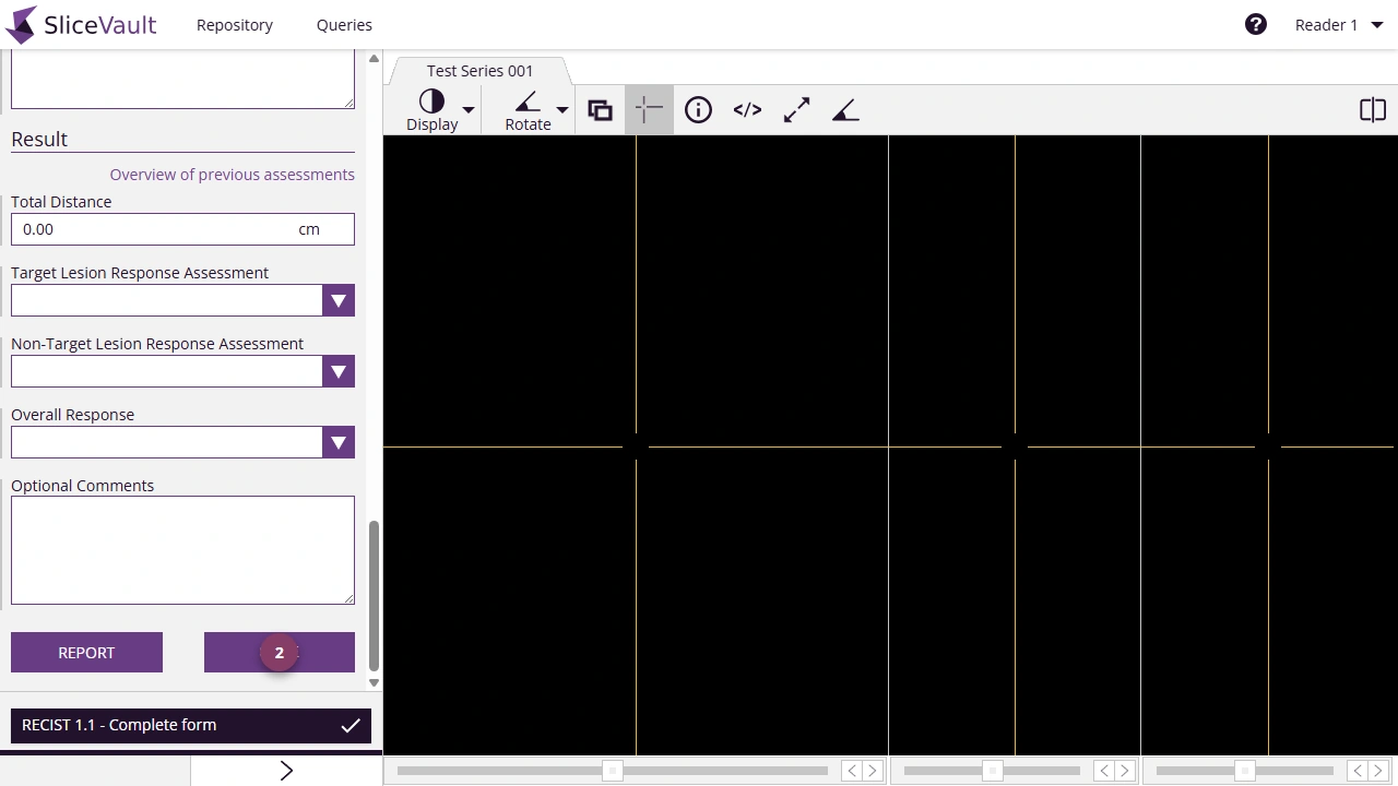 Screenshot - Edit Assessment Form