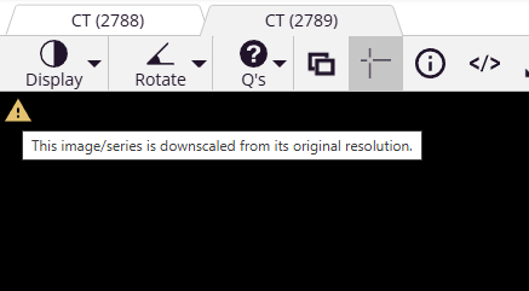 Screenshot - Downscaled Image
